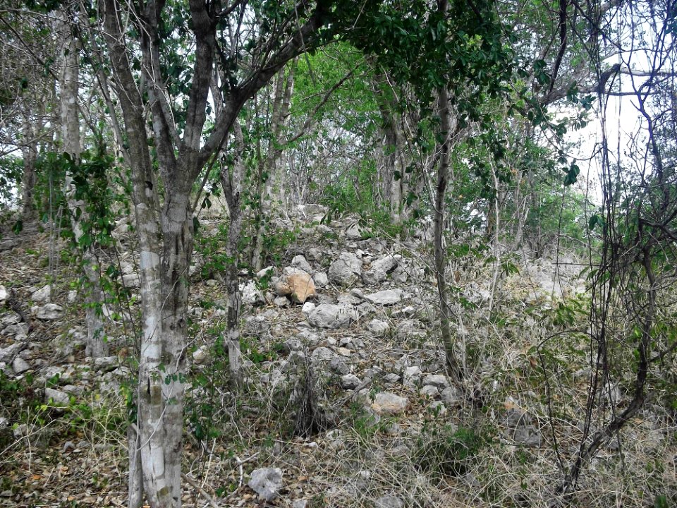 Kalax (Mérida), Yucatán (13)