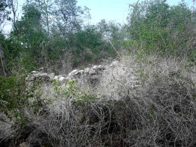 Kalax (Mérida), Yucatán (06)