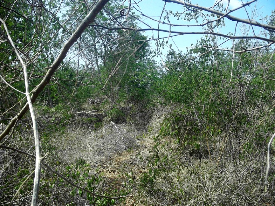 Kalax (Mérida), Yucatán (07)