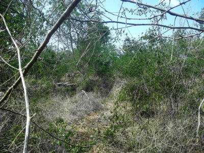 Kalax (Mérida), Yucatán (07)