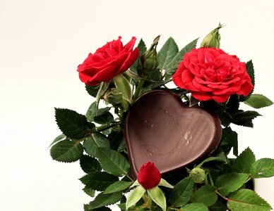 Thank you about love for mother's day mama