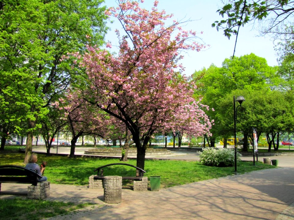 KATOWICE, AB. 104