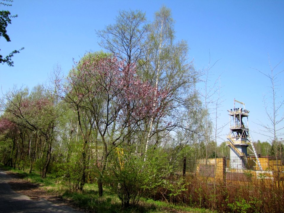 KATOWICE, AB. 072