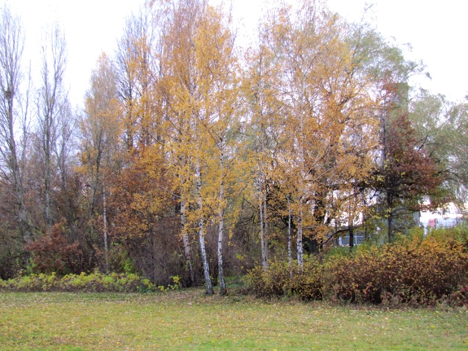 KATOWICE, AB. 284