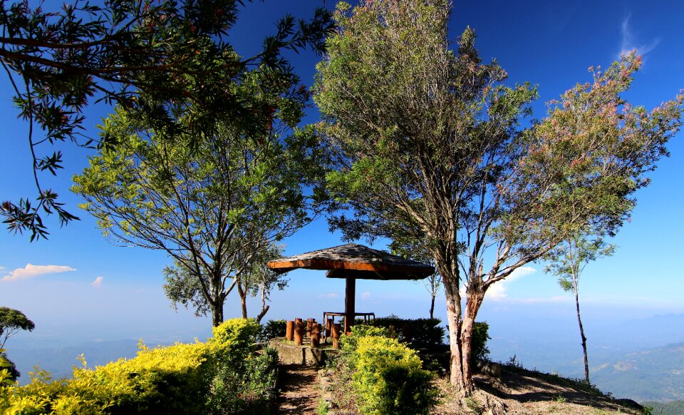 Nature vacations tropical