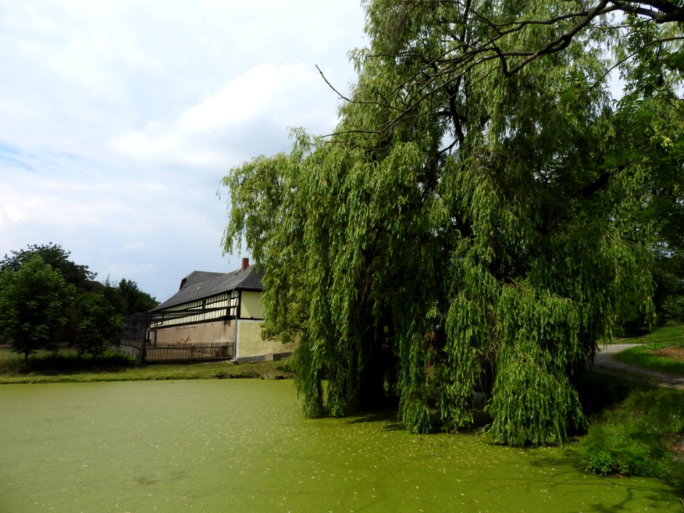 Kauern, Langenwetzendorf, Thuringia 5