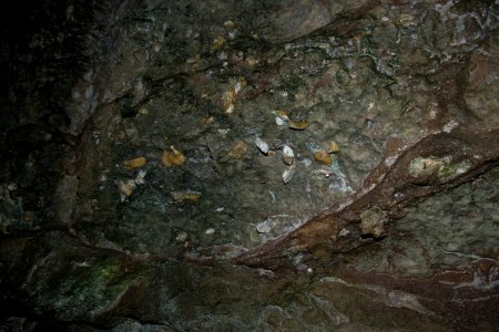 Kastenberghöhle (A 153) 09