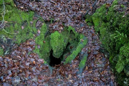 Kastenberghöhle (A 153) 05
