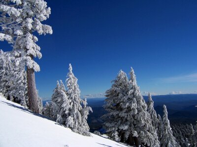 Brokeoff mountain winter lassen volcanic national park photo