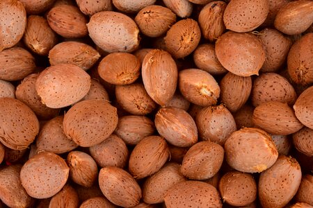 Healthy fresh almonds food photo