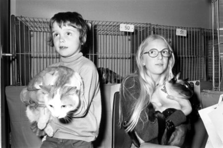 Kattenverkiezingen voor kinderen in Bijenkorf te Amsterdam meisje toont kat aan , Bestanddeelnr 925-4764