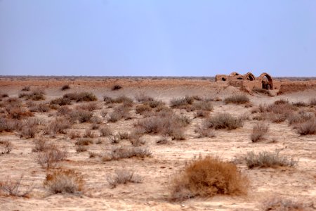 Kavir National Park 06