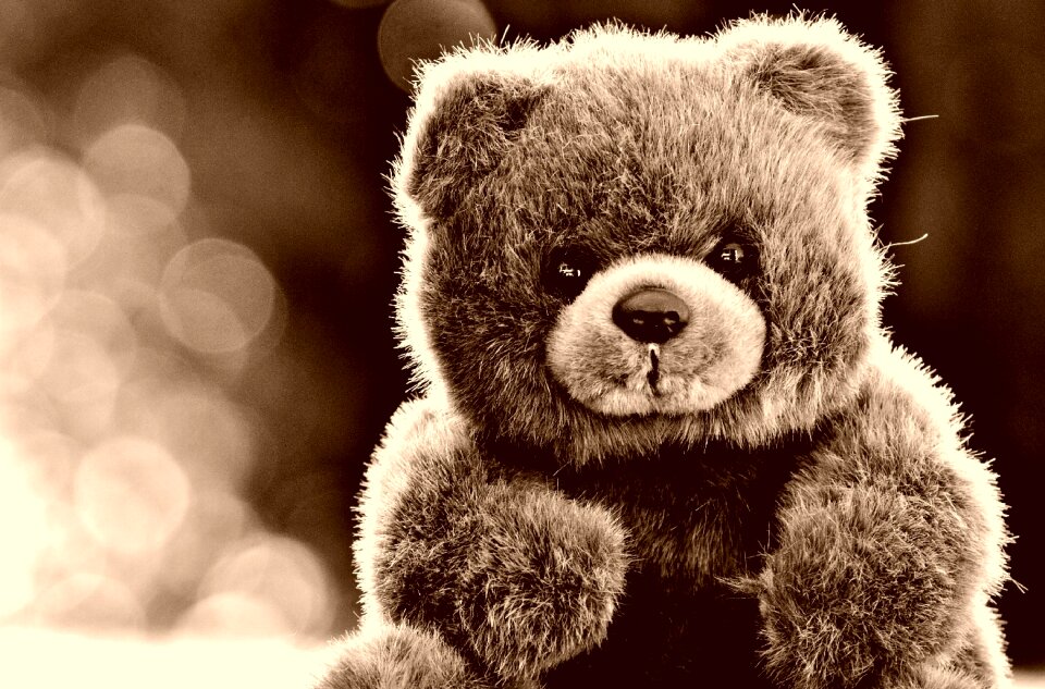 Stuffed animal teddy bear brown bear