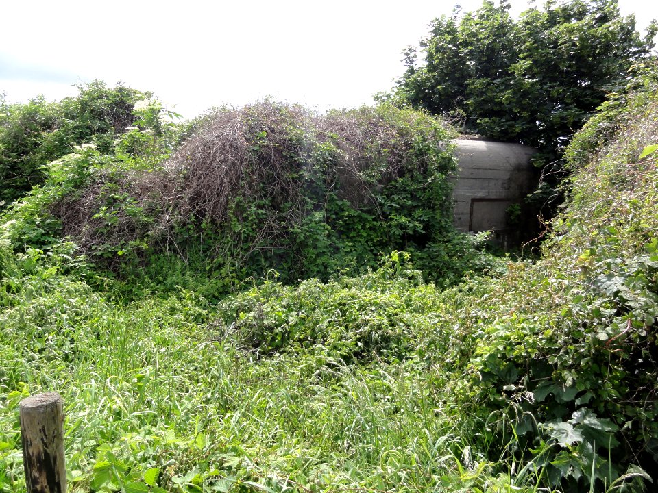 Katwijk (Cuijk) Rijksmonument 420215 Brugkazemat zuid