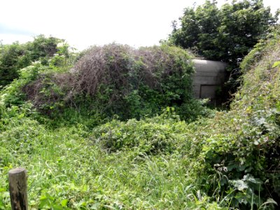 Katwijk (Cuijk) Rijksmonument 420215 Brugkazemat zuid