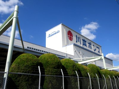 Kawamoto-Pump-1