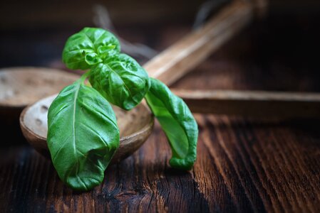 Spice green herbs