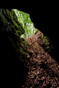 Kellerberghöhle (A 37) 27