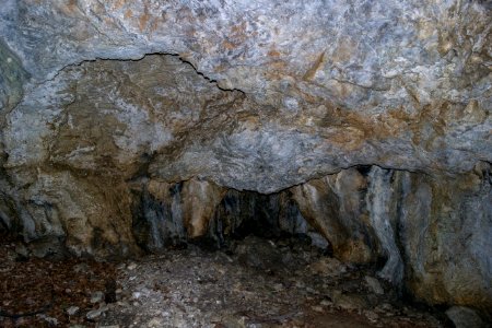 Kellerberghöhle (A 37) 14