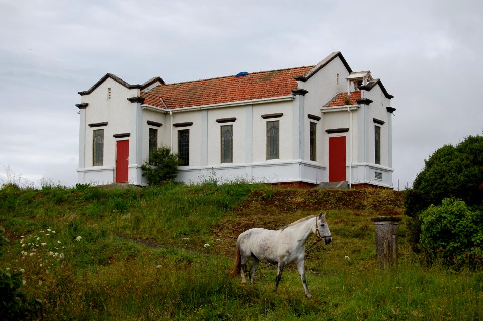 Kawhia03