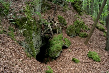 Kellerberghöhle (A 37) 01