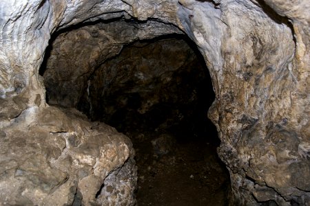 Kellerberghöhle (A 37) 35 photo
