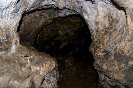 Kellerberghöhle (A 37) 35