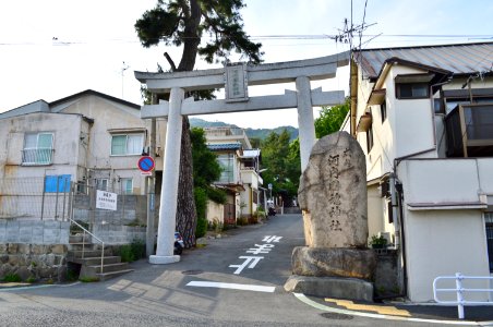 Kawachikunitama-jinja, torii