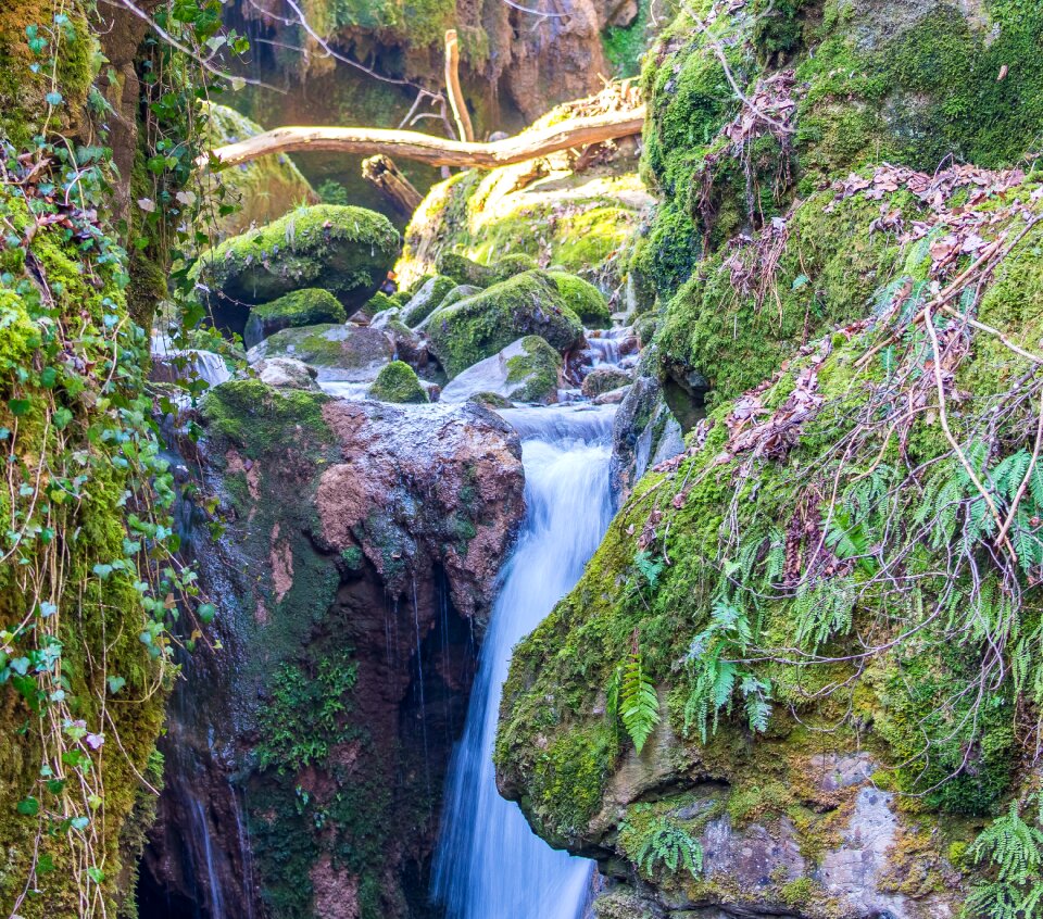 Waterfall waters forest