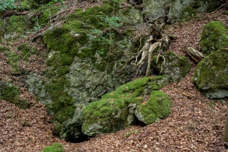 Kellerberghöhle (A 37) 05