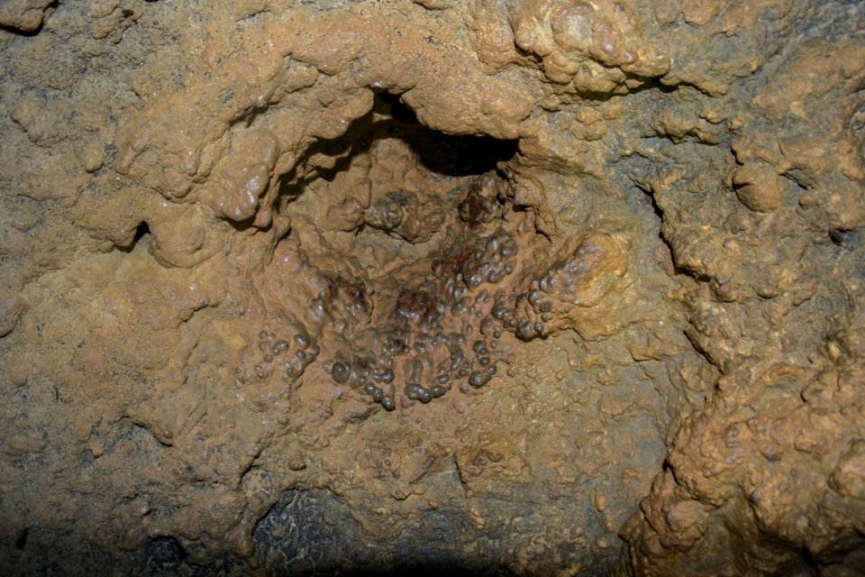 Kellerberghöhle (A 37) 59