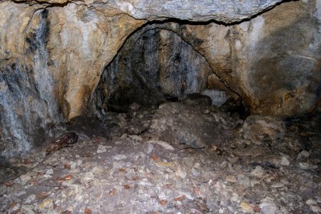 Kellerberghöhle (A 37) 18