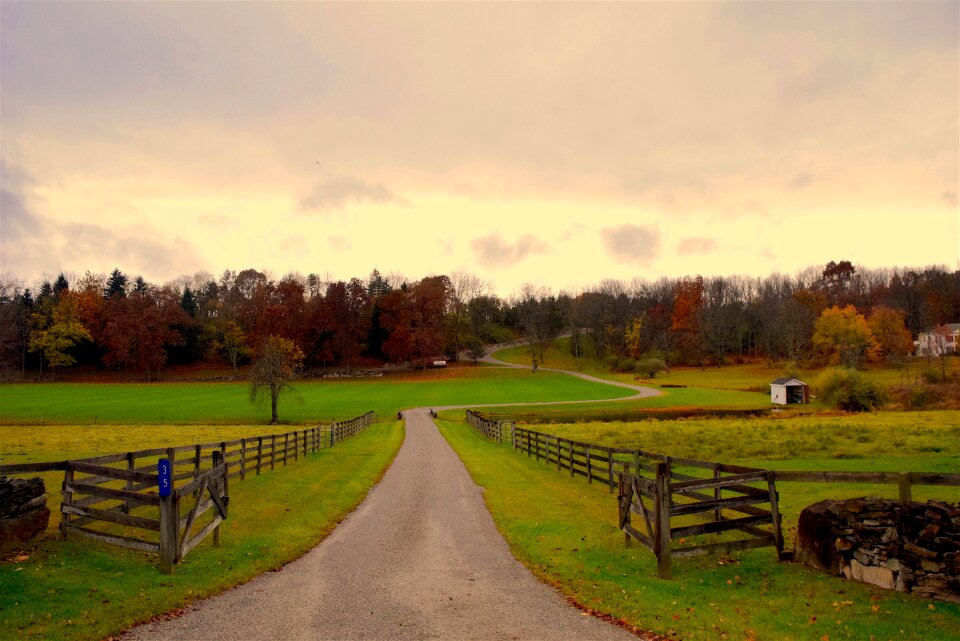 Estate nature field photo