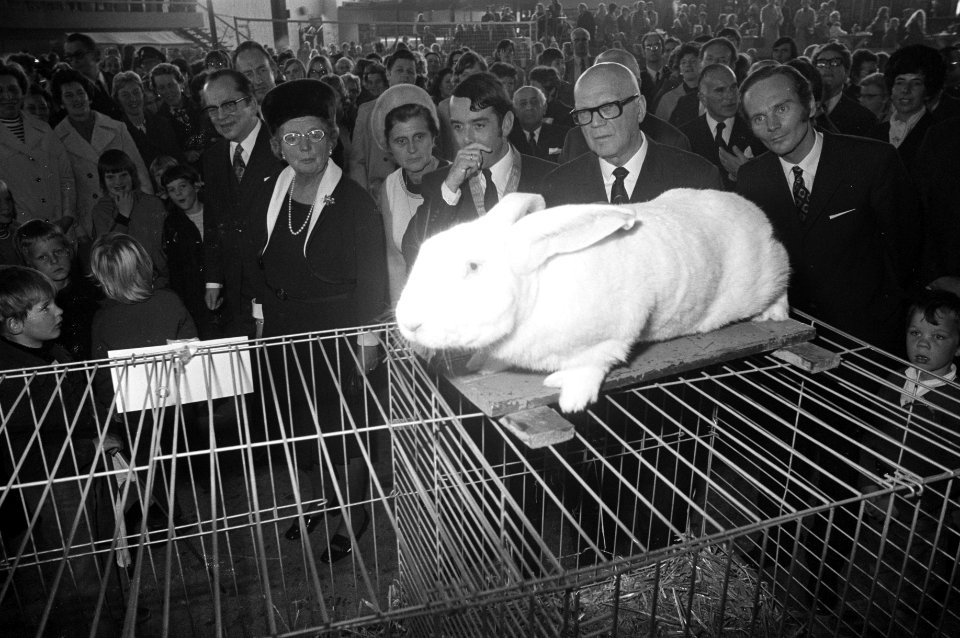 Kekkonen en koningin Juliana brengen een bezoek aan de Flevopolder, Hare Majeste, Bestanddeelnr 925-9810
