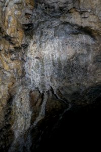 Kellerberghöhle (A 37) 30