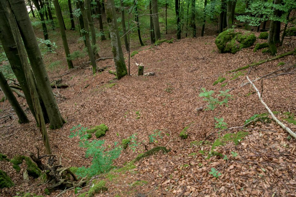 Kellerberghöhle (A 37) 04