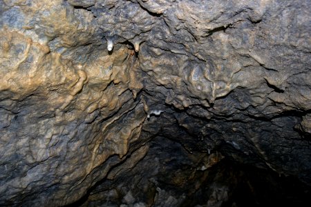 Kellerberghöhle (A 37) 52
