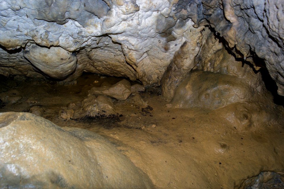 Kellerberghöhle (A 37) 49