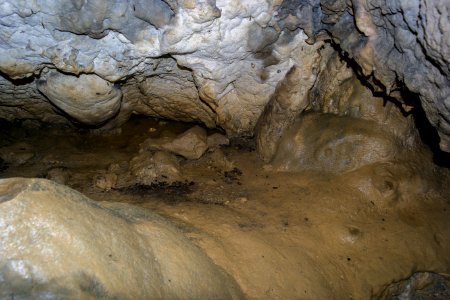 Kellerberghöhle (A 37) 49