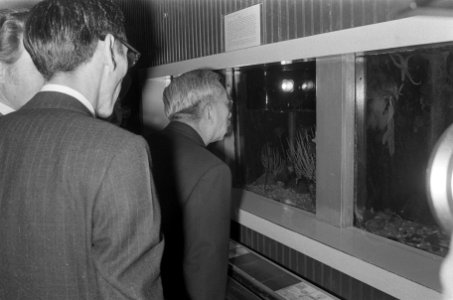 Keizer Hirohito en echtgenote bezoeken Artis Amsterdam, Bestanddeelnr 925-0283