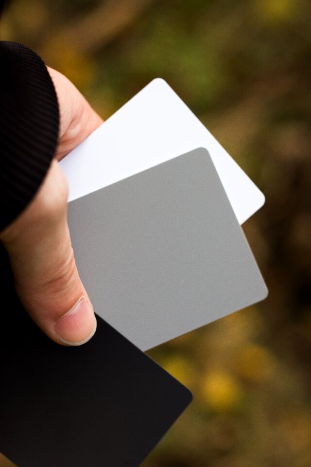 Cards hand hold