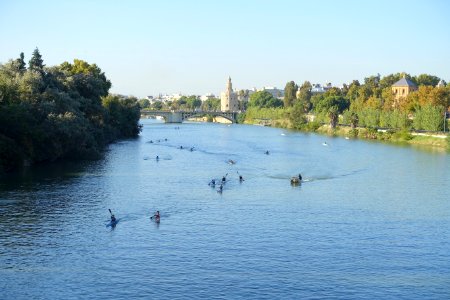 Kayaks on the Guadalquivir, Sevilla, Spain - DSC07671