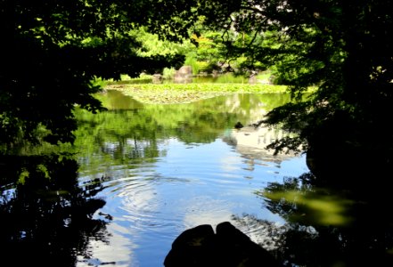 Keitakuen, Osaka - DSC05792