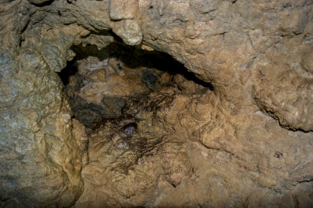 Kellerberghöhle (A 37) 60