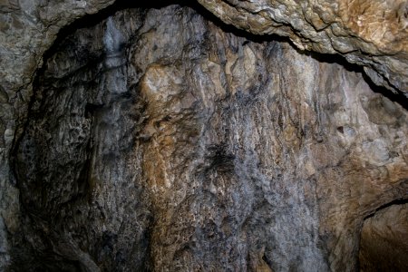 Kellerberghöhle (A 37) 19