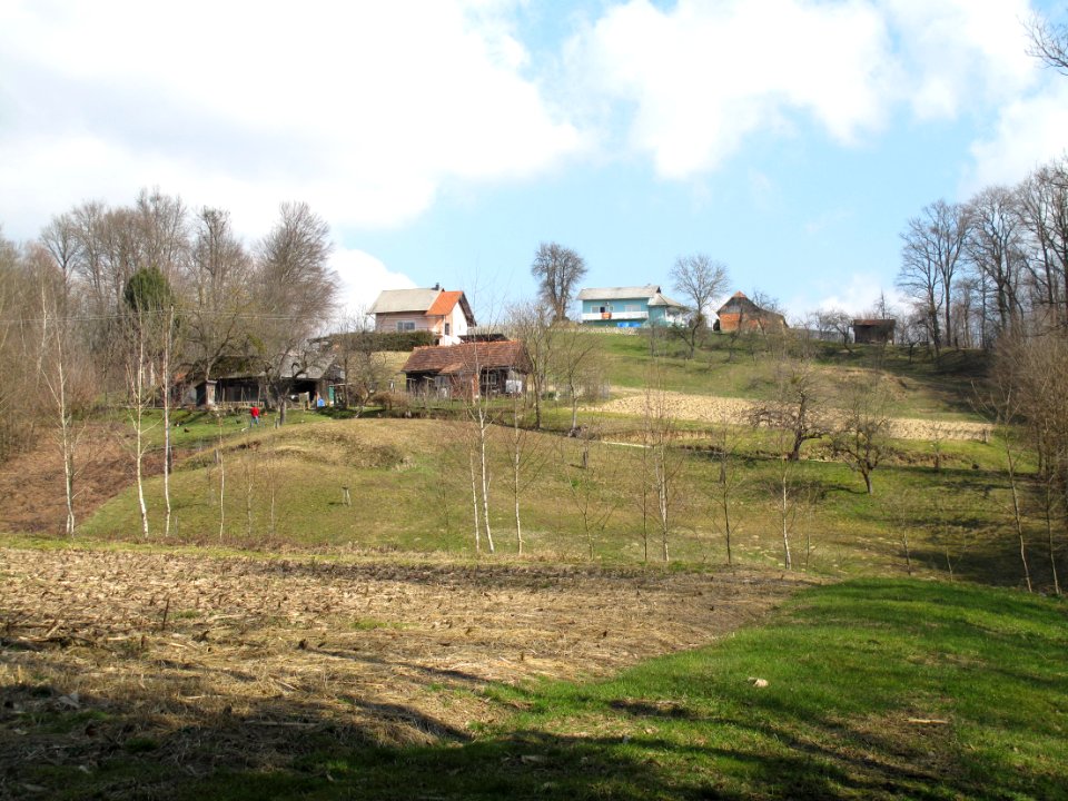 Katrce 11