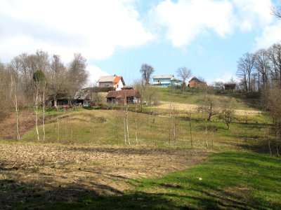 Katrce 11