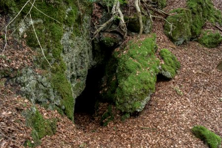 Kellerberghöhle (A 37) 03