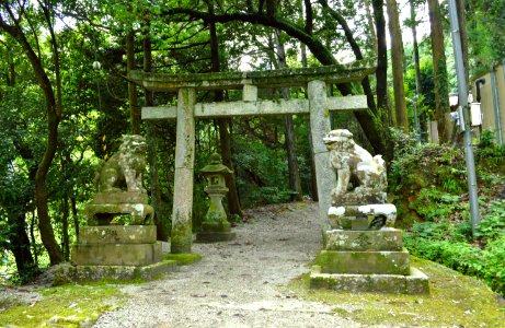 Katsuragi-mikumari-jinja torii