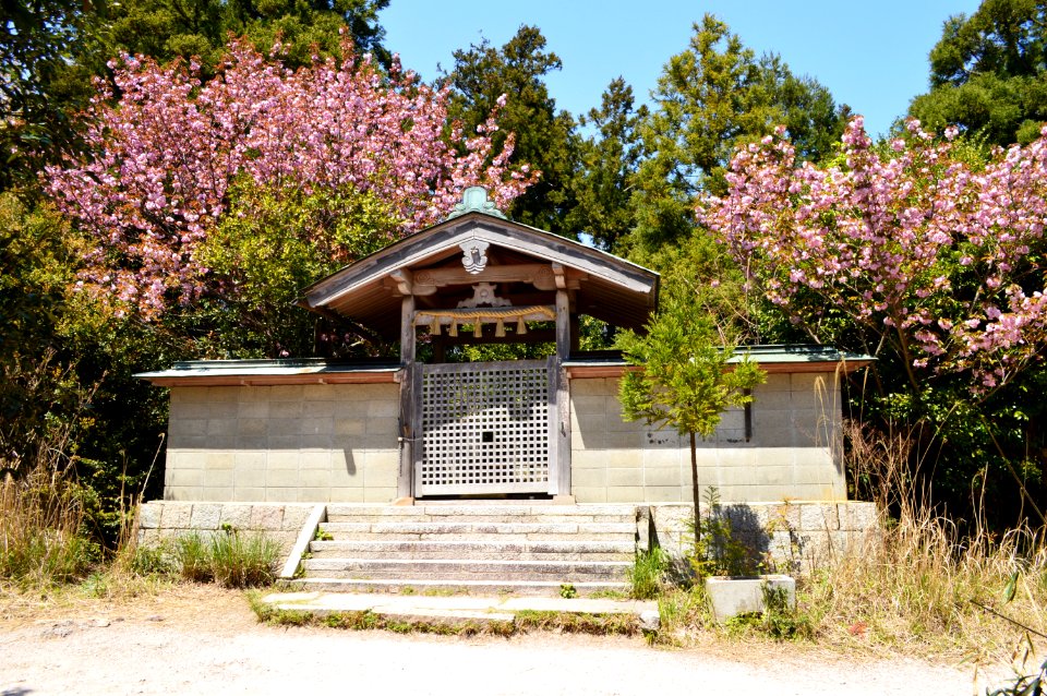 Katsuragi-futakami-jinja, haisho
